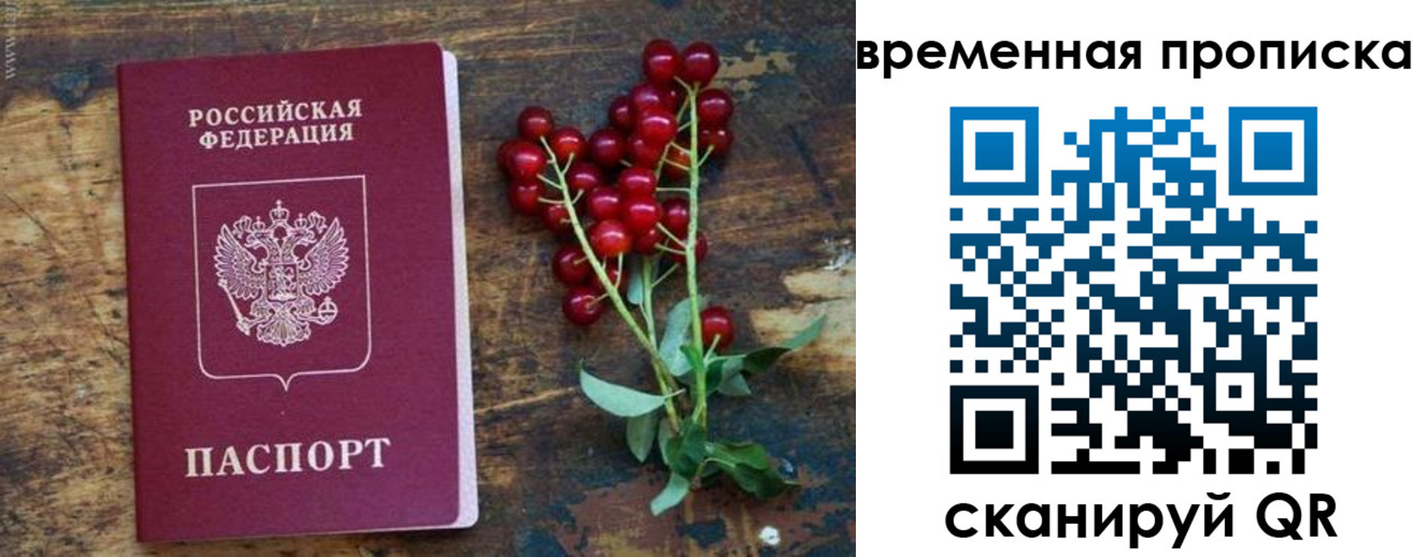 временная регистрация гарантия в Барыше
